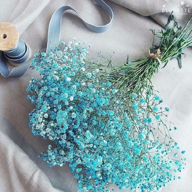 Ý nghĩa hoa baby là gì? những mẫu bó hoa baby được yêu thích nhất tại hanoi florist 6247a37c1cff0.jpeg